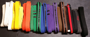 belts_thru_the_ages